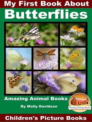 cover image of My First Book About Butterflies